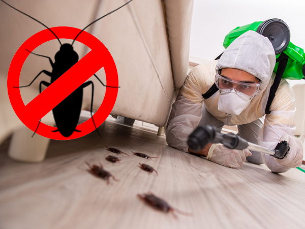Effective cockroach Pest Control Services