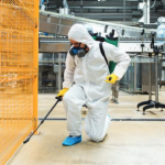 Montreal’s Premier Exterminator Services: Ensuring Safe and Pest-Free Environments