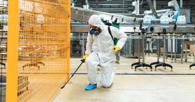 Montreal’s Premier Exterminator Services: Ensuring Safe and Pest-Free Environments