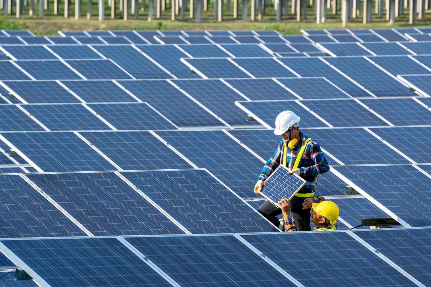 How Can Businesses Choose the Right Commercial Solar Panels for Their Needs?