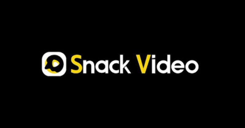 https://snackvideodownloader.co